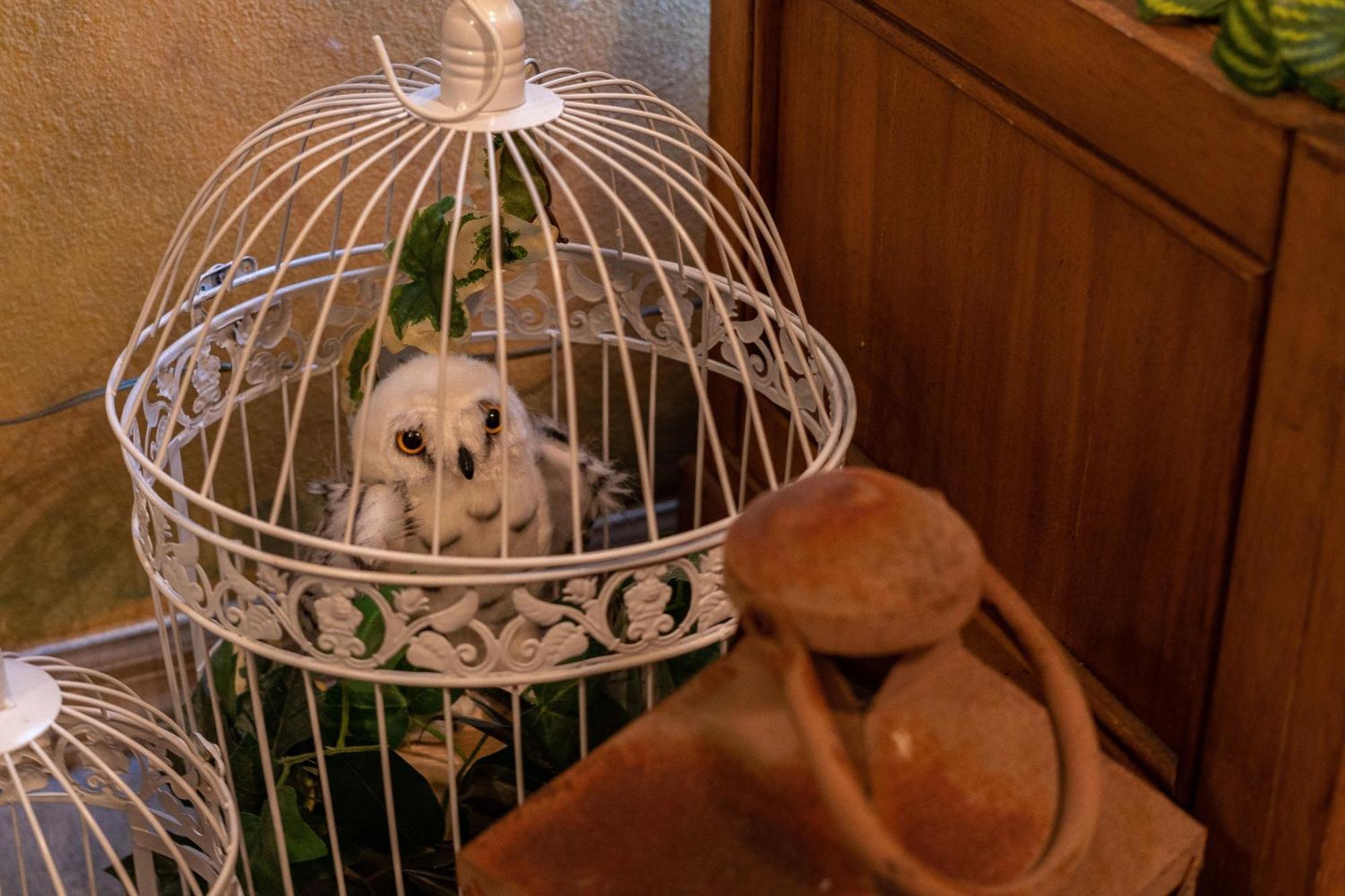 At Hogwarts Harry Potter's Home, Free Parking, Pets Allowed *